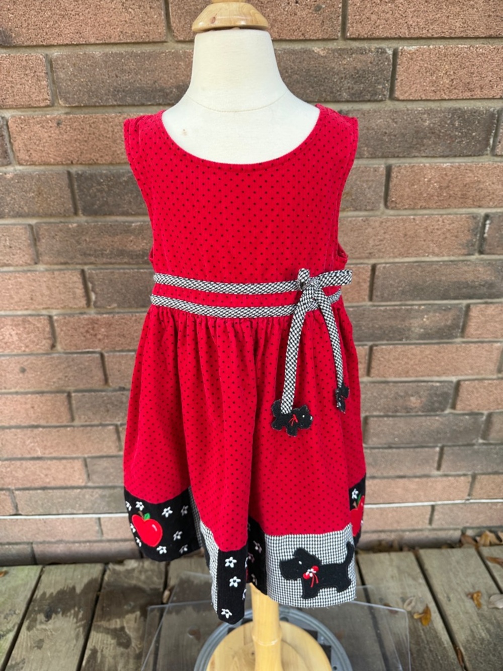 Rare Editions Red Polka Dot Dress with Dog & Gingham Trim Size 4T